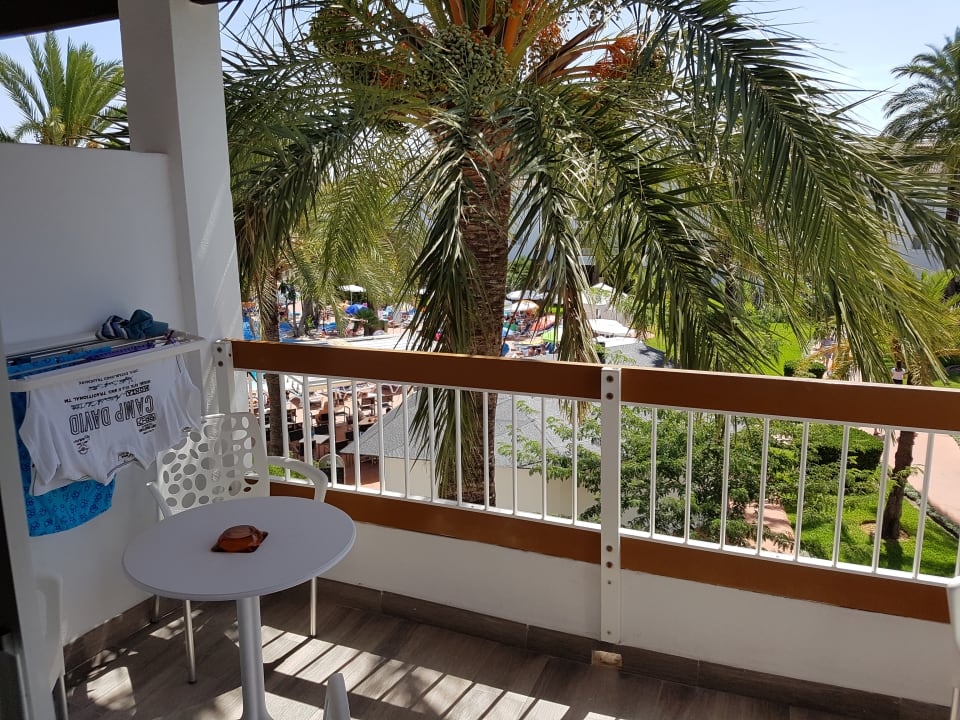 Ausblick Alcudia Garden Aparthotel