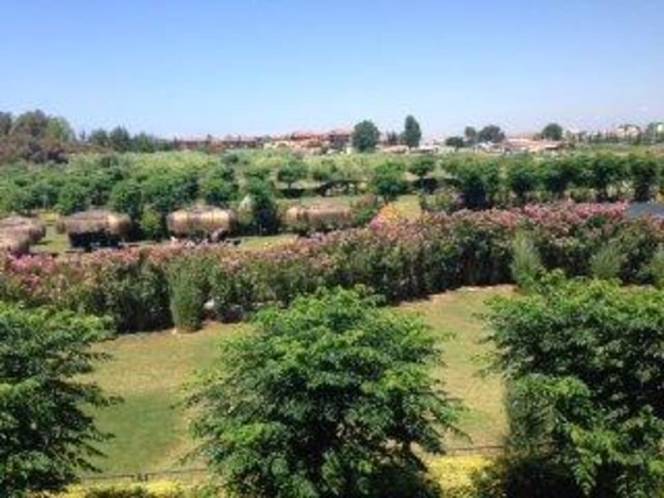 Wunderschöne Aussicht  Can Garden Resort