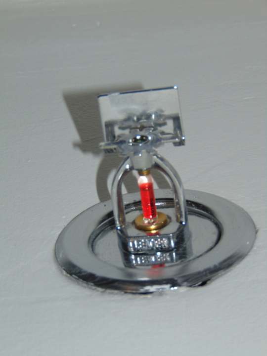 Zimmer Rexan International Hotel