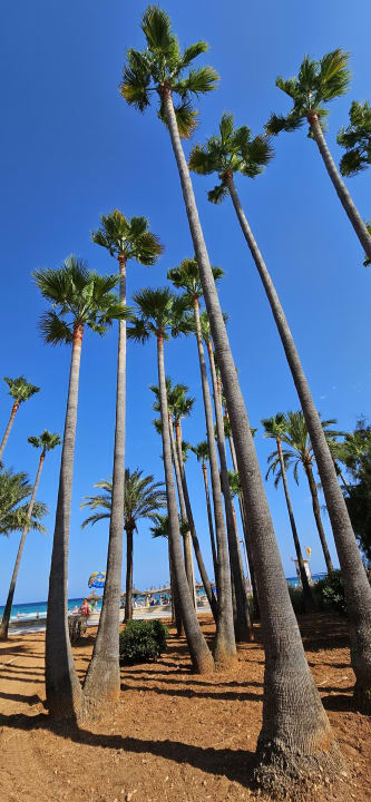 Strand Hipotels Mediterraneo Club