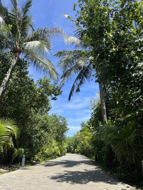Gartenanlage Hotel Riu Atoll