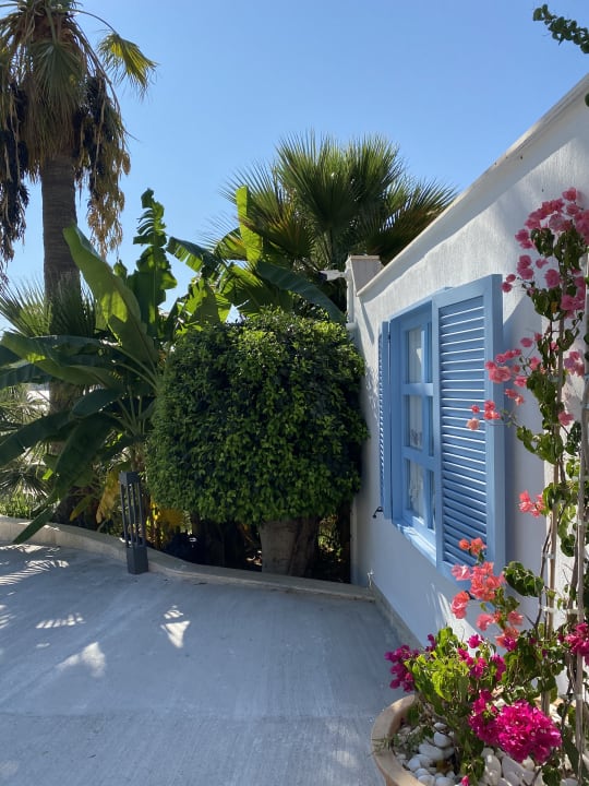 Gartenanlage TUI MAGIC LIFE Bodrum - Adult Only (16+)