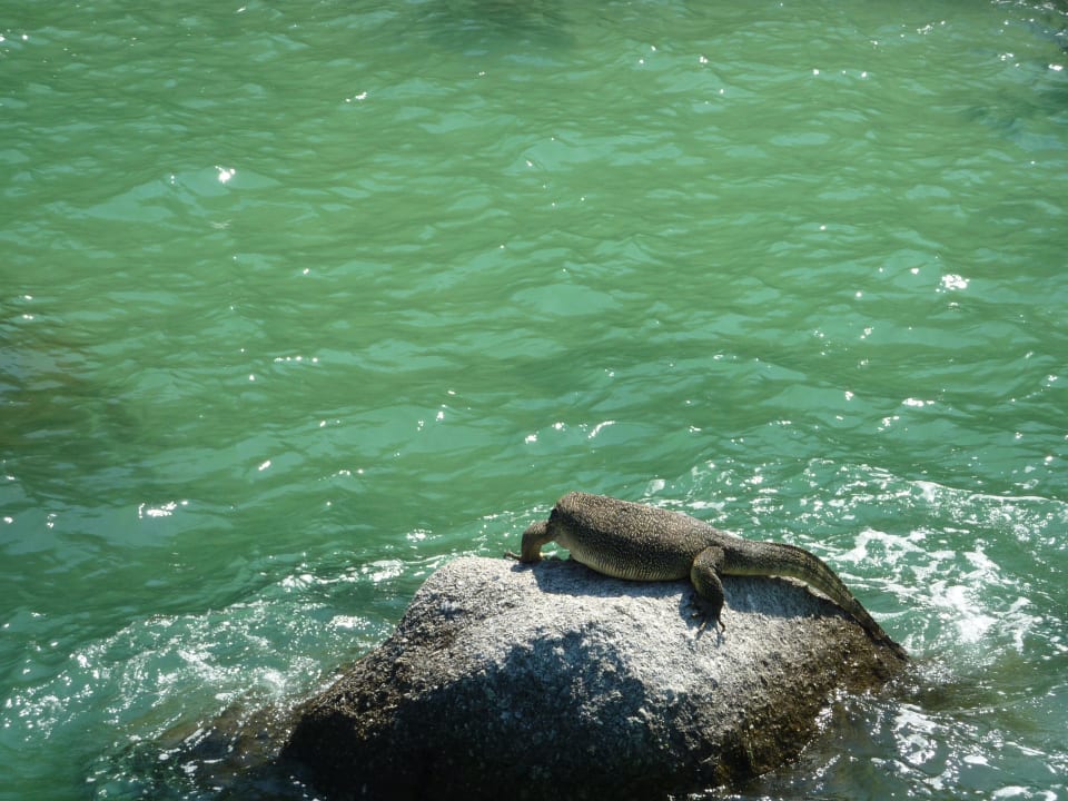 Leguan Hotel Pangkor Laut Resort/Estates