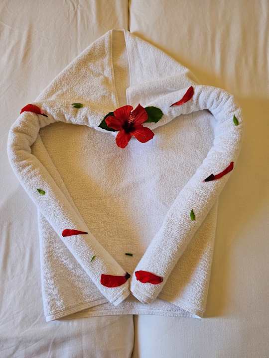 Zimmer Caribbean World Thalasso Djerba