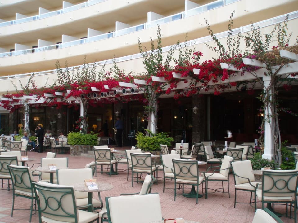Terrasse Hotel Riu Palace Palmeras
