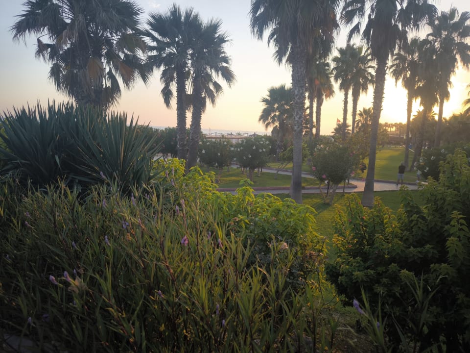 Gartenanlage VONRESORT Golden Coast