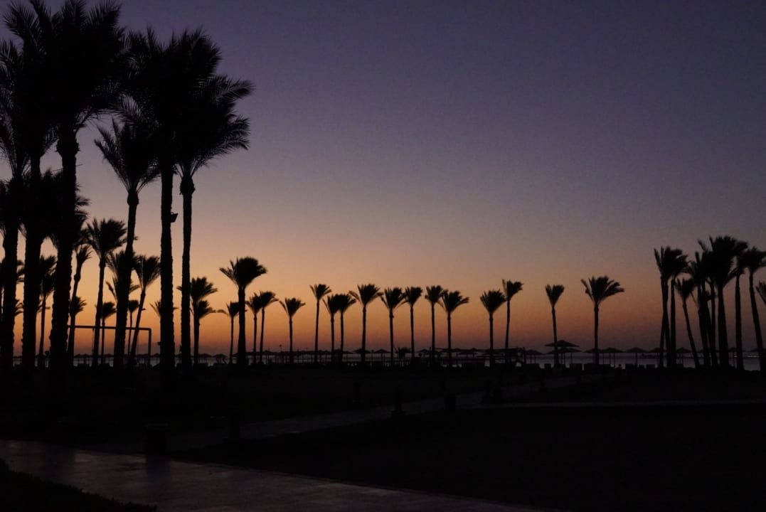 Strand Pickalbatros Laguna Vista Hotel