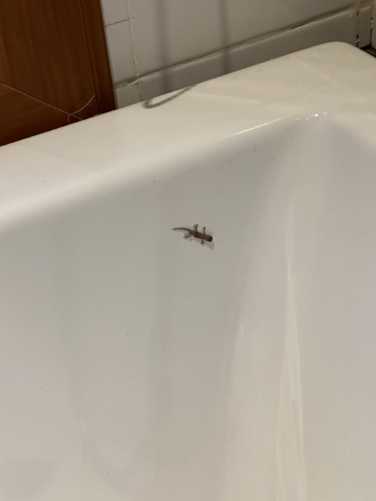 Zimmer Panviman Resort Koh Phangan