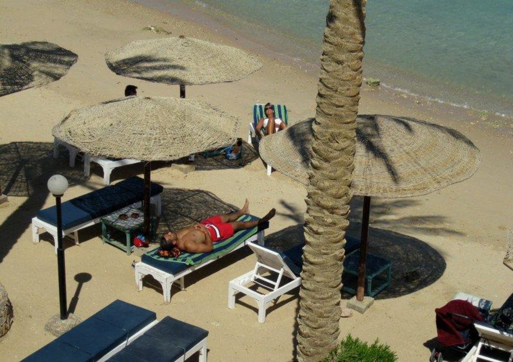 Ausblick  B 316 Arabia Azur Resort