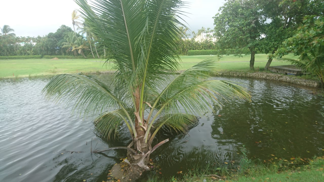 Gartenanlage Viva Heavens by Wyndham - All Inclusive Resort