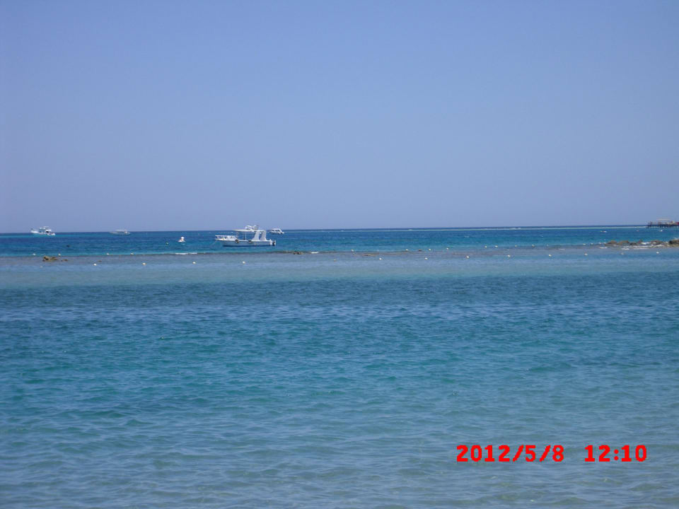 Schönes klares Meer Jaz Makadi Gardens - TUI BLUE Makadi Gardens - Adults Friendly 16 Years Plus