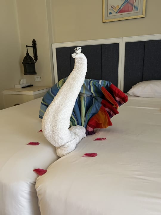 Zimmer Pickalbatros Sands Hotel - Port Ghalib