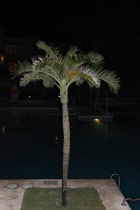 Innen Viva Azteca by Wyndham - All Inclusive Resort