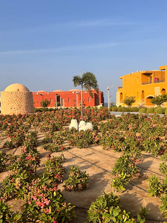 Gartenanlage Pickalbatros Vita Resort - Portofino Marsa Alam
