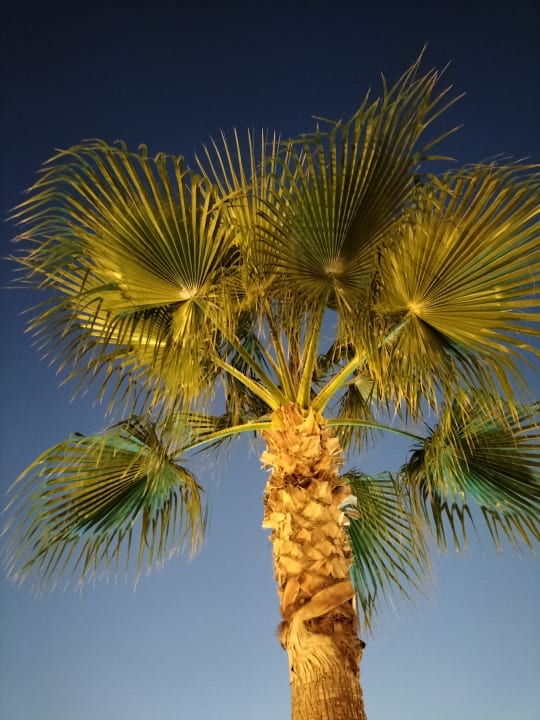 Außenansicht Golden Beach Rethymnon