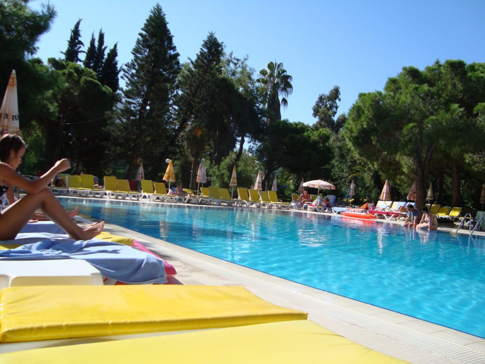 Pool Asteria Collection Side