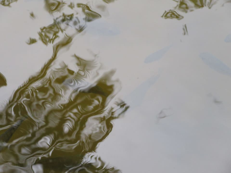 Gartenanlage Baobab Beach Resort & Spa