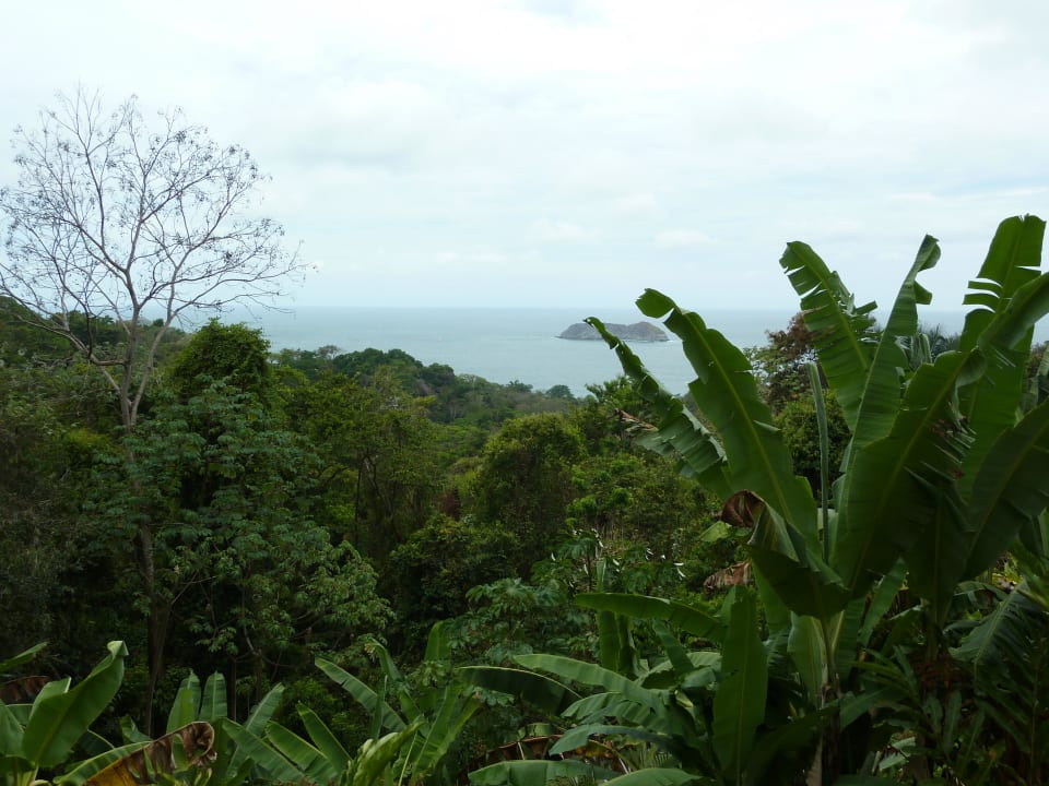 Gartenanlage und Meerblick Si Como No Resort & Wildlife Refuge