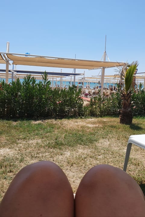 Ausblick Dream Family Club