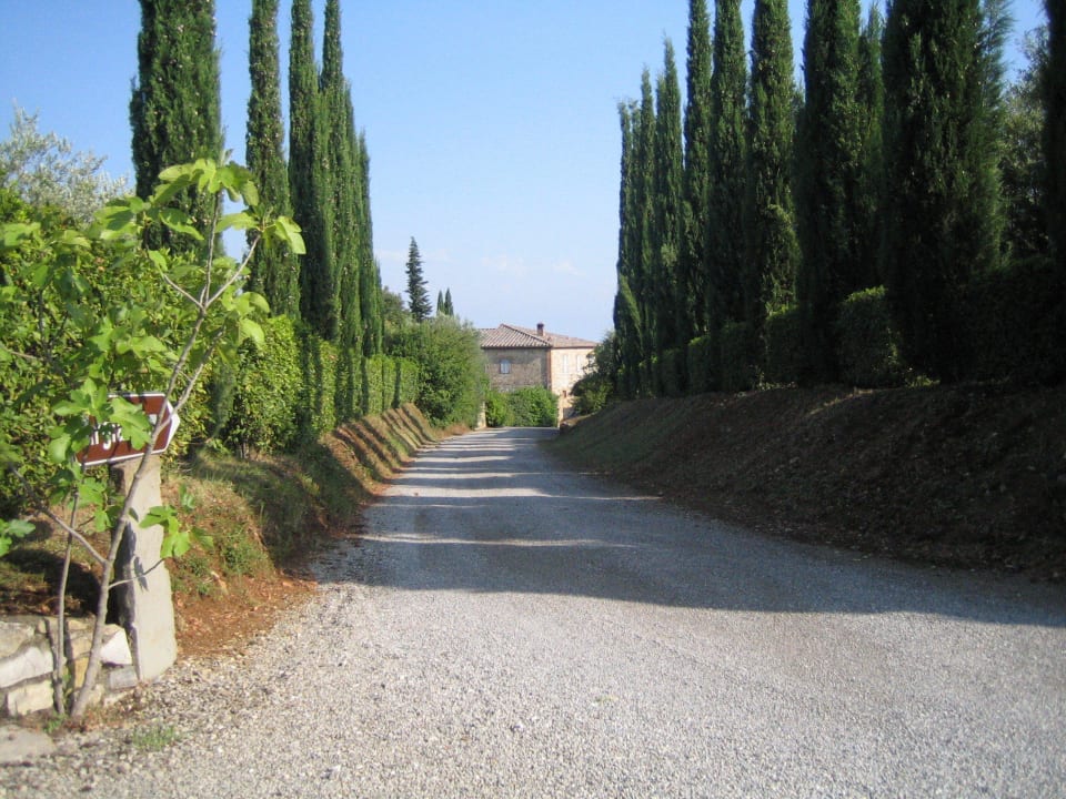 Fattoria di Argiano Hotel Fattoria di Argiano
