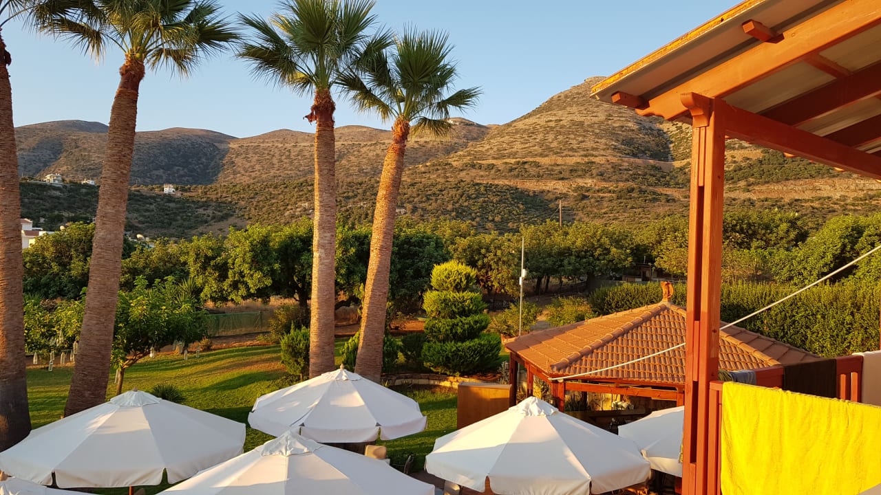 Ausblick Hotel Paloma Garden