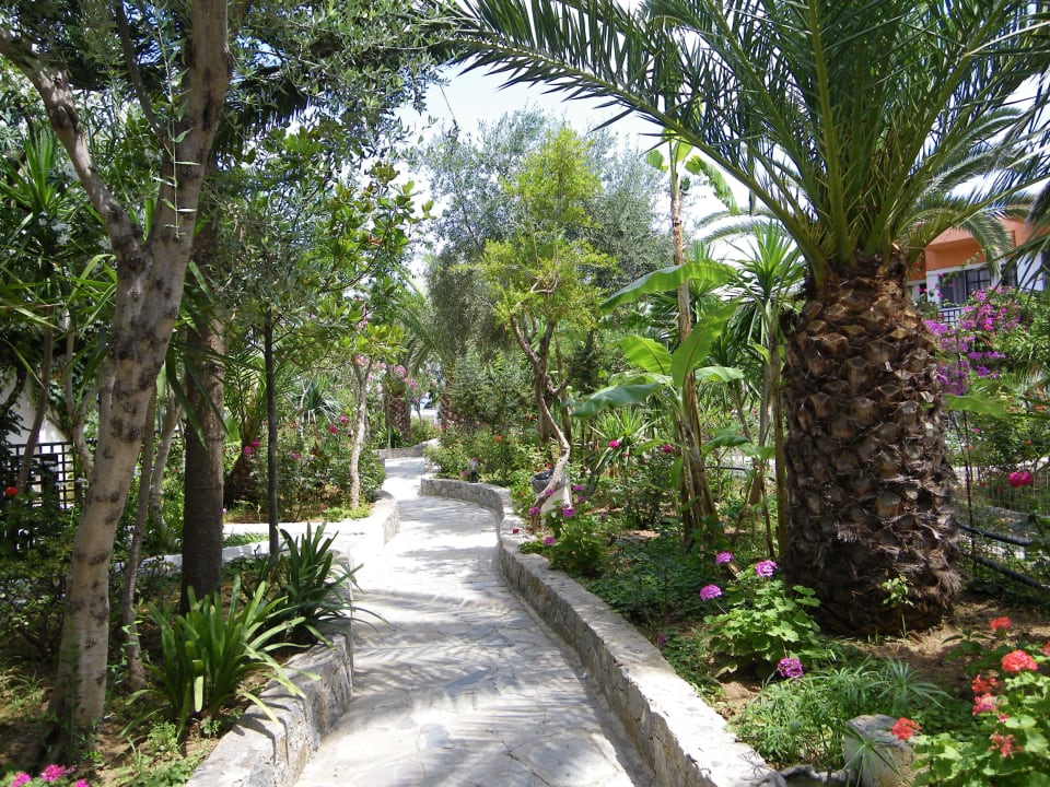 Our garden HARPIN Happy Days Beach Hotel