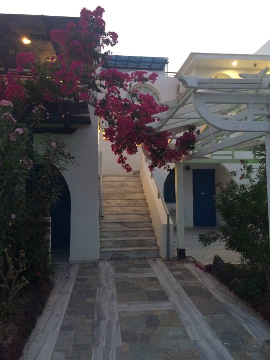 Ogród Hotel Rivari Santorini