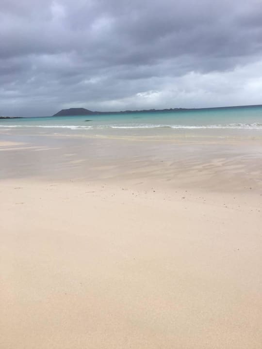 Weißer Sand  Hotel Riu Oliva Beach Resort