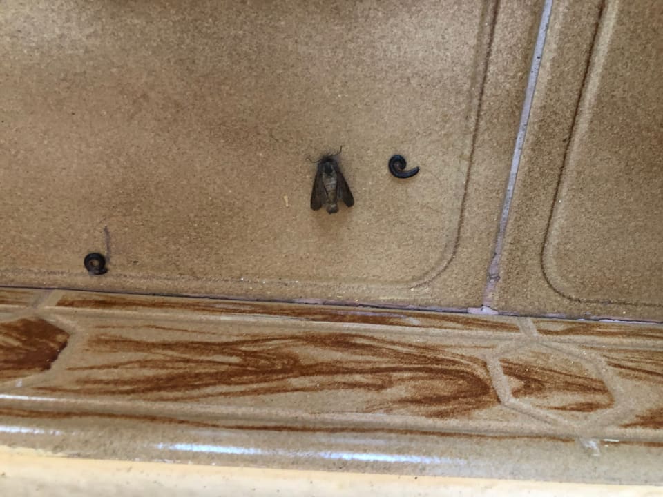 Zimmer Jardin Mariposa Retreat- und Seminarzentrum