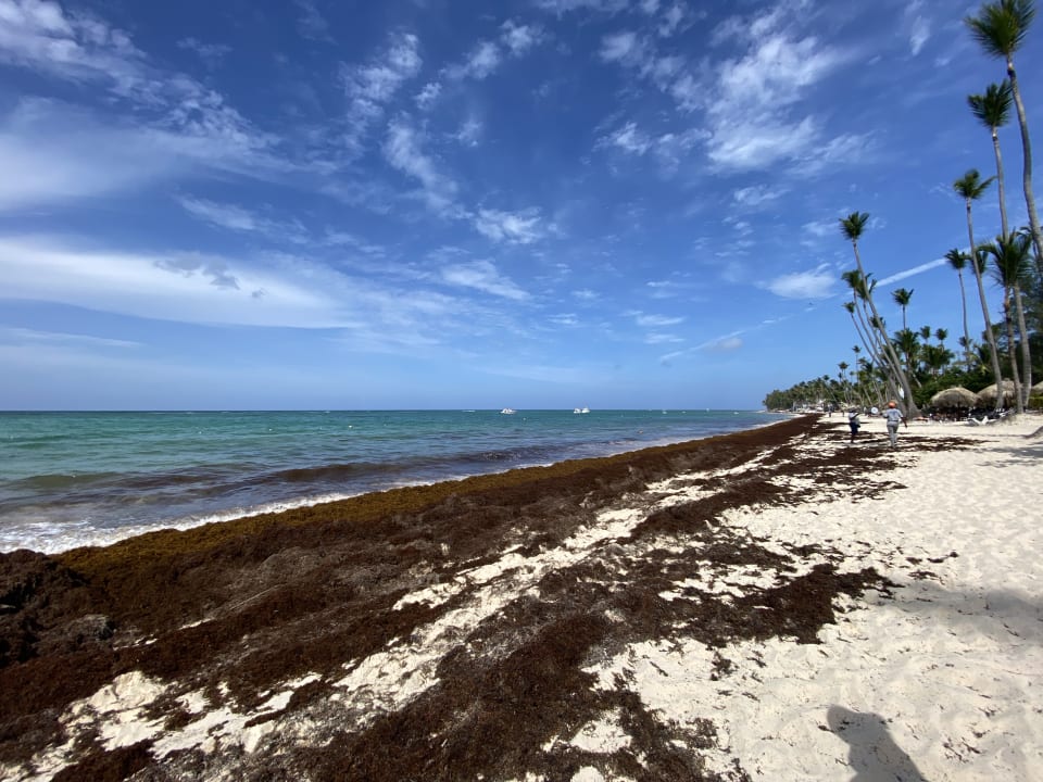 Strand TRS Turquesa Hotel - Adults only