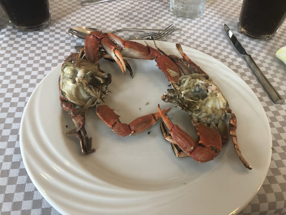 Gastro Serenity Alpha Beach