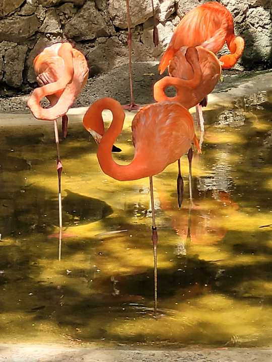 Sonstiges Viva Azteca by Wyndham - All Inclusive Resort