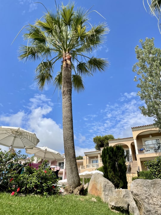 Außenansicht allsun Hotel Lago Playa Park