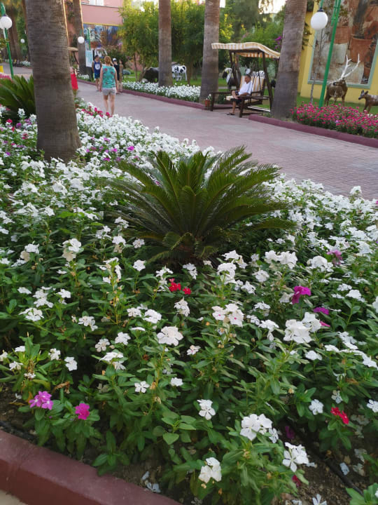 Gartenanlage VONRESORT Golden Beach