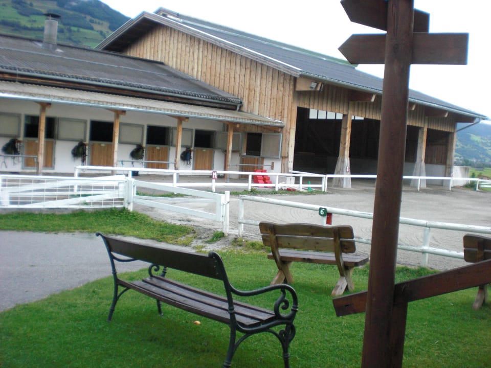 Reitanlage Kinderhotel Felben