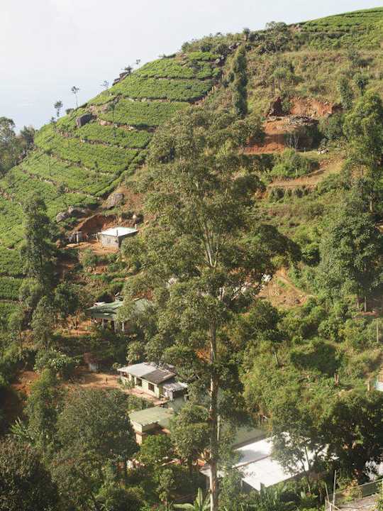 Blick in die Landschaft Olympus Plaza Hotel