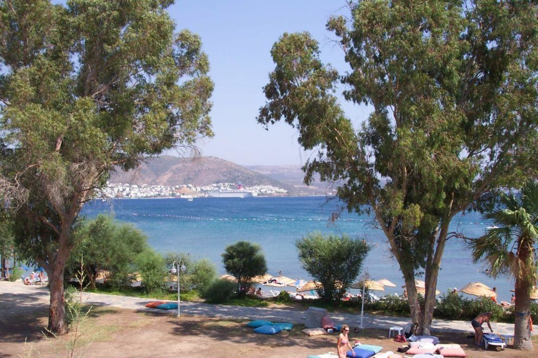 Blick vom Pool zum Meer Salmakis Resort & Spa