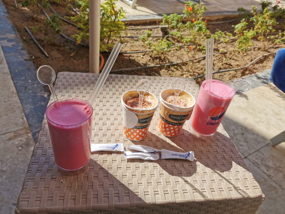 Gastro Pickalbatros Alf Leila Wa Leila Resort - Neverland Hurghada