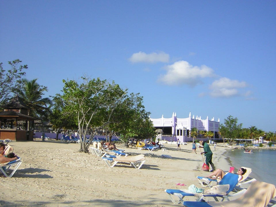 Liegen am Strand Riu Montego Bay - Adults Only
