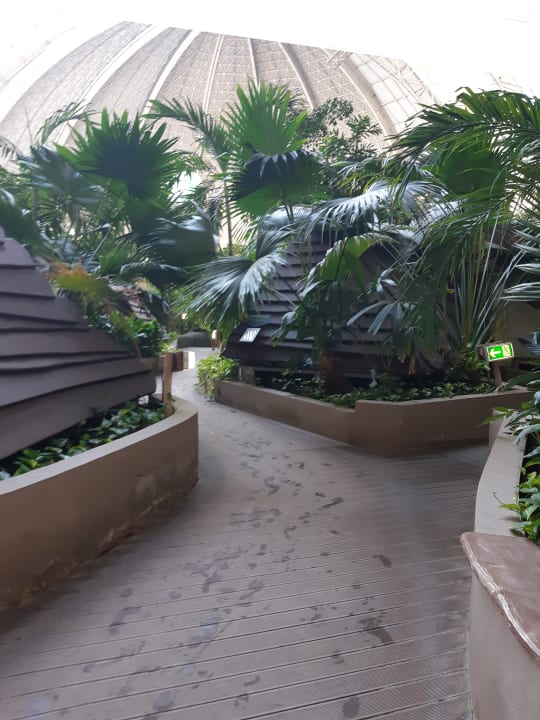 Gartenanlage Tropical Islands Resort