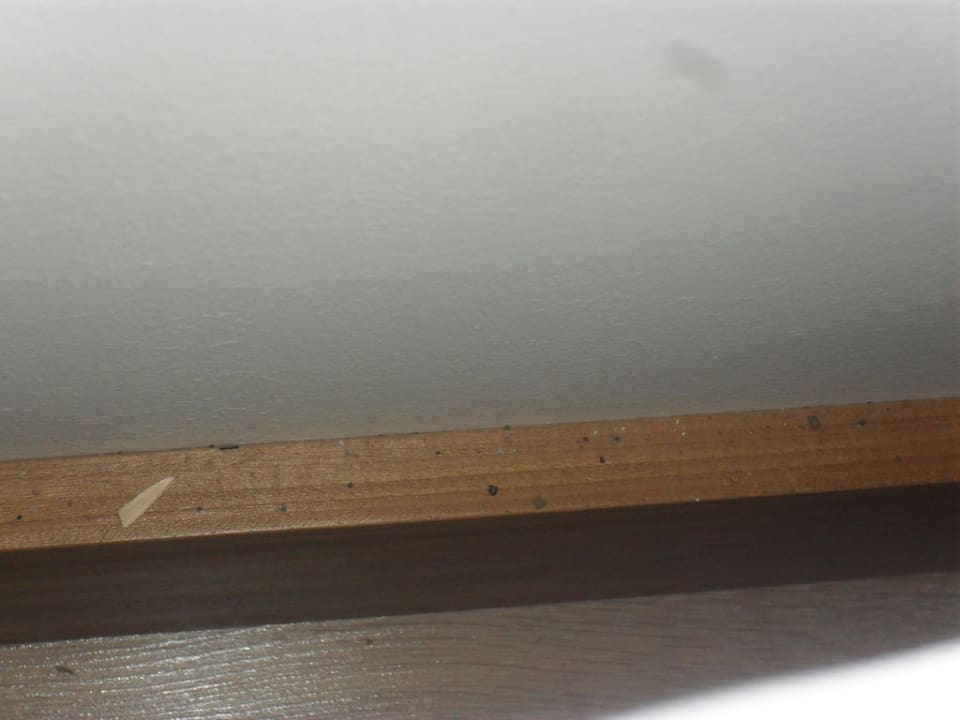 Neben dem Bett Greenwood Kemer Resort