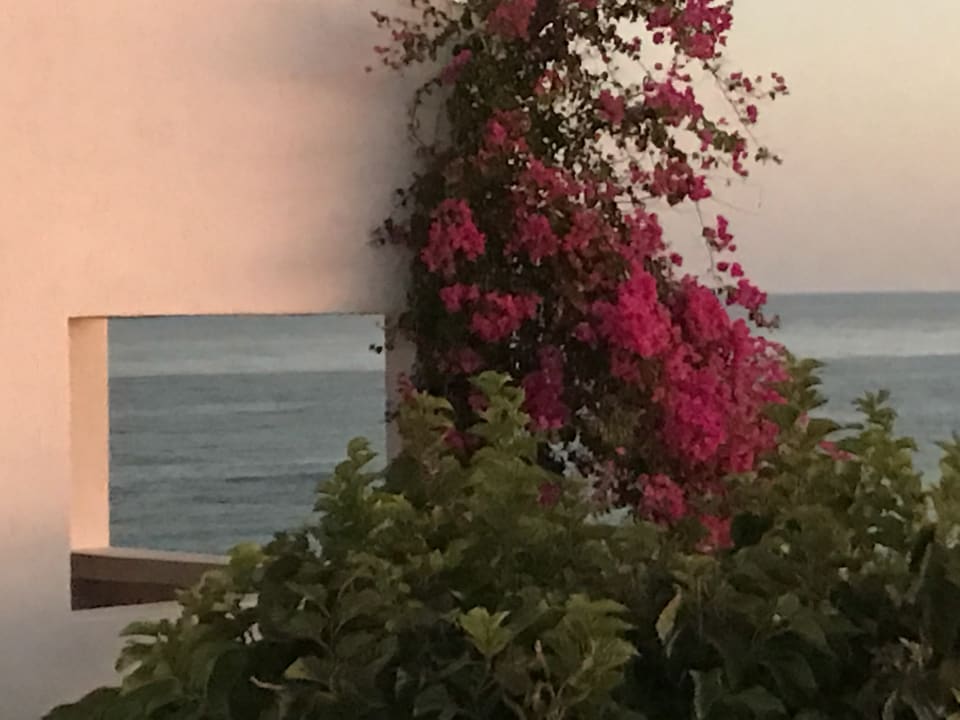 Sonstiges Maritimo Beach Hotel