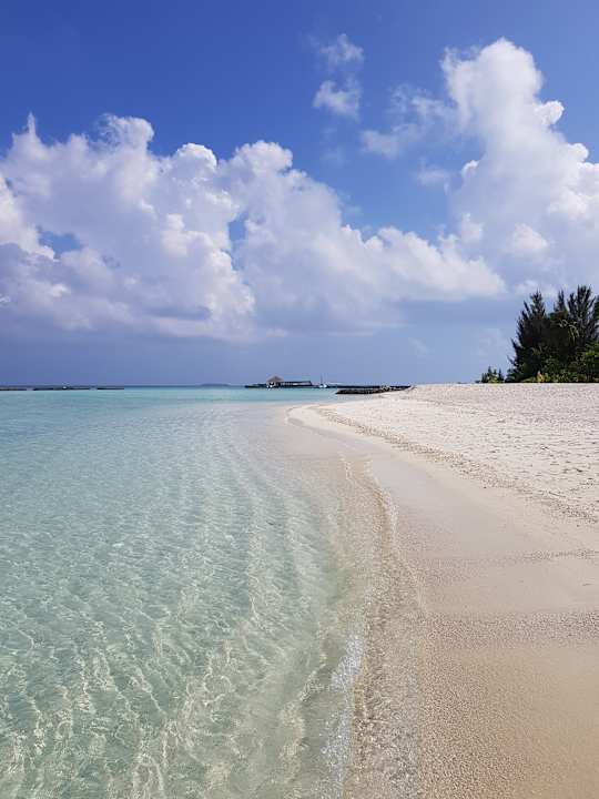 Strand Summer Island Maldives