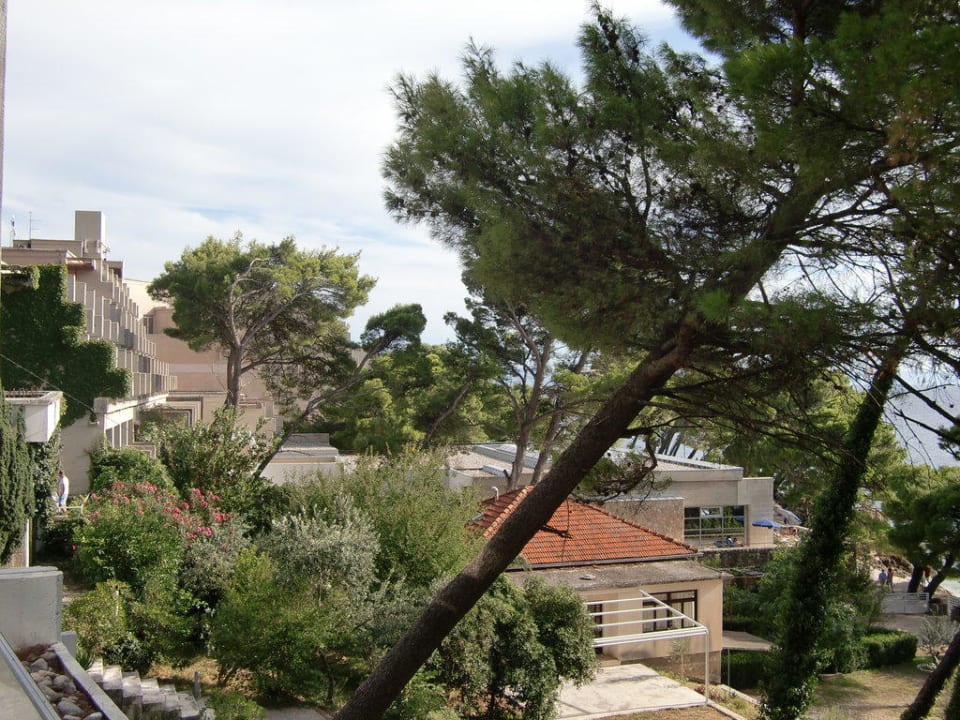 Blick vom Balkon Bluesun Hotel Soline