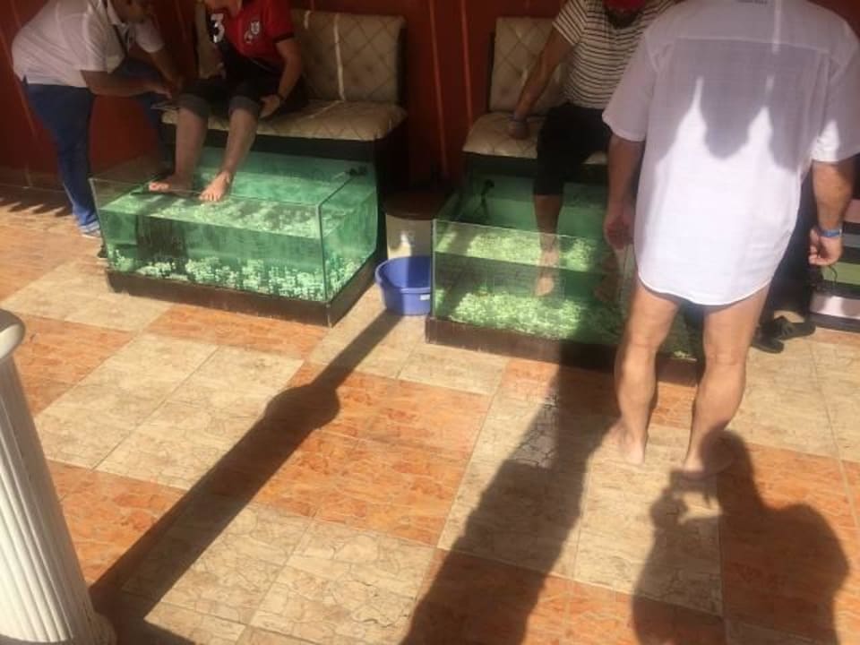 Unhygienisch Fish Spa im Hotel  Pickalbatros Alf Leila Wa Leila Resort - Neverland Hurghada