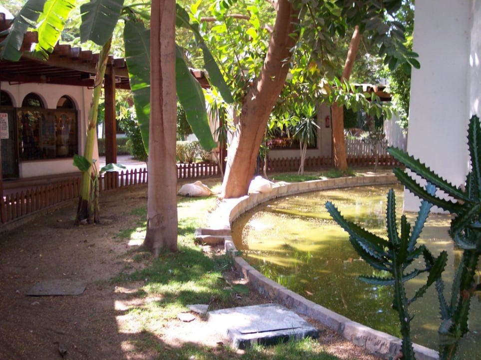 Parkanlage mit Pelikanteich Steigenberger Resort Achti Luxor