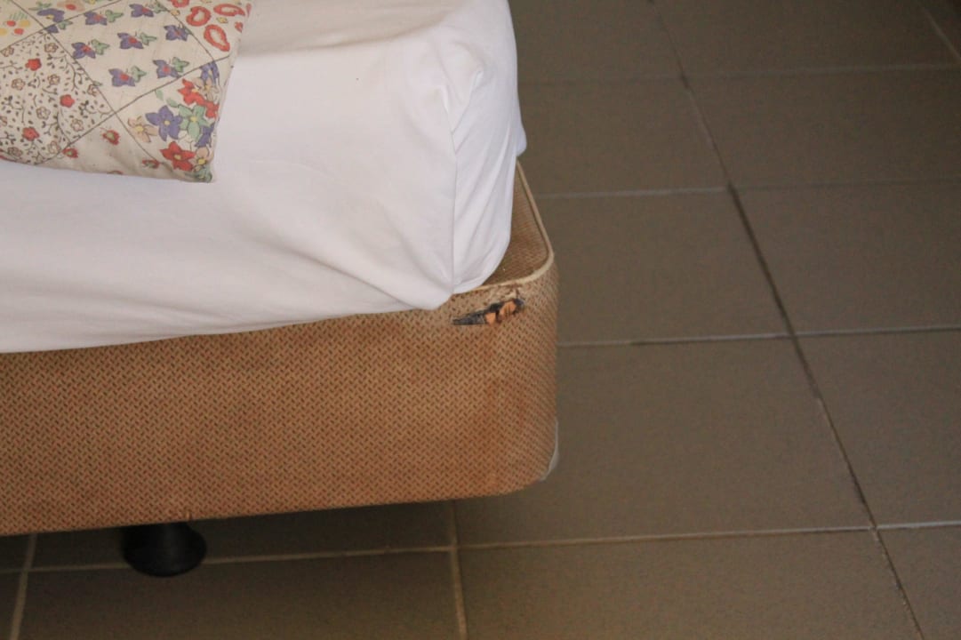 Matratzen alle kaputt und unsauber Rethymno Village