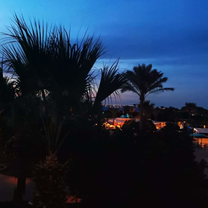 Ausblick Desert Rose