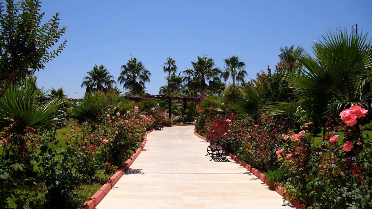 Weg zum Strand Saphir Resort & Spa