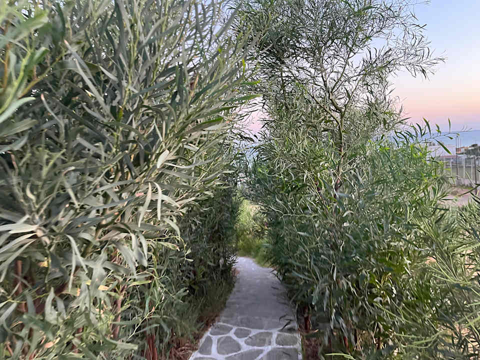 Außenansicht Ekaterini Hotel